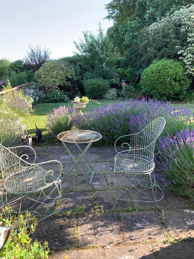 Bed and Breakfast Cary Fitzpaine House Babcary Exterior foto
